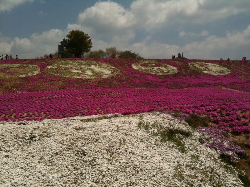 b0057140_043303.jpg