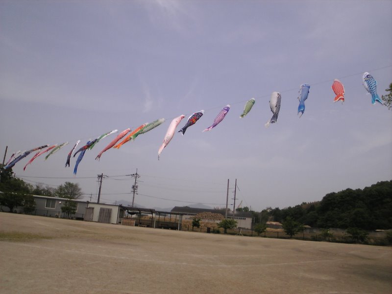 b0057140_23105563.jpg