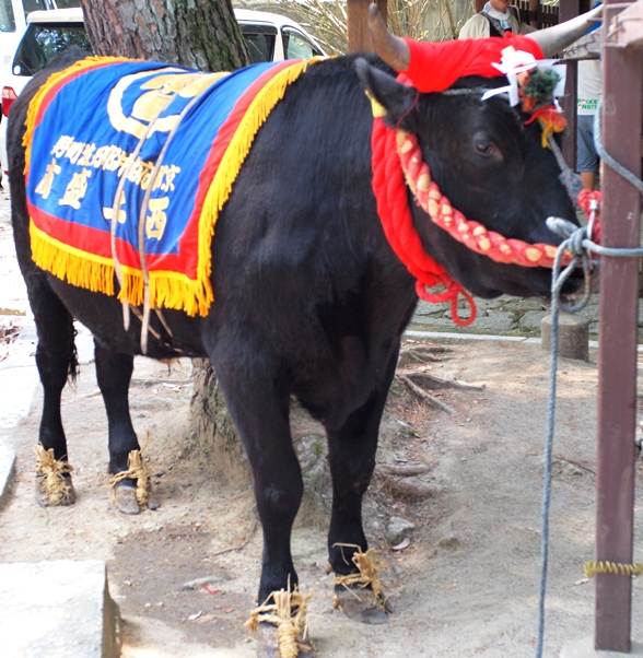 今宮神社のお祭_e0144041_15595194.jpg