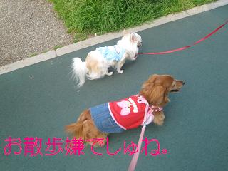 c0206342_17591286.jpg