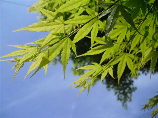 d0132743_2242132.jpg