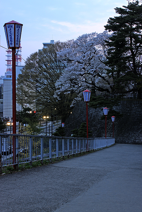 盛岡城跡公園の夜桜②_a0153950_7135381.jpg