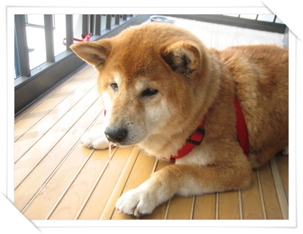 GWもあっけなく_c0049950_2214418.jpg