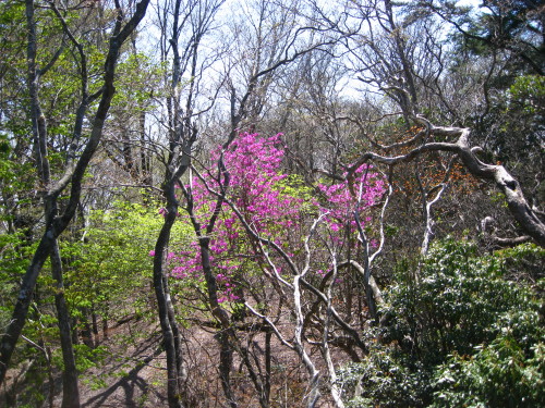 c0179351_2036415.jpg