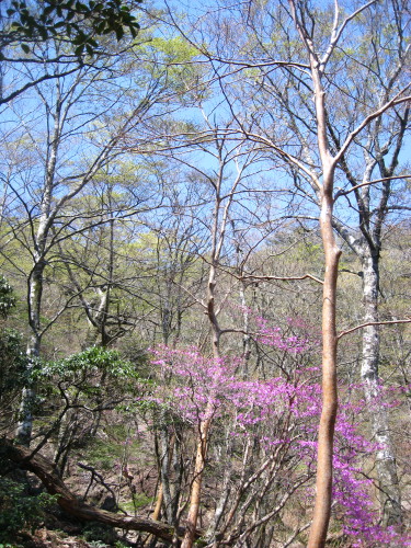 c0179351_20374460.jpg