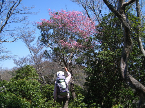 c0179351_2037658.jpg