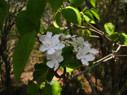 c0179351_20382723.jpg
