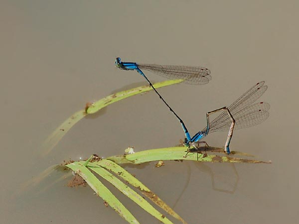 c0045352_15134.jpg