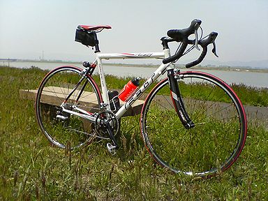 a0096557_12253480.jpg