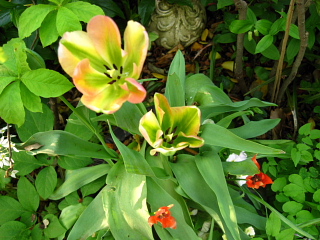 a0021558_23422886.jpg