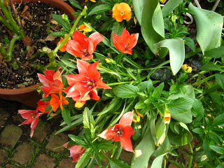 a0021558_23494413.jpg