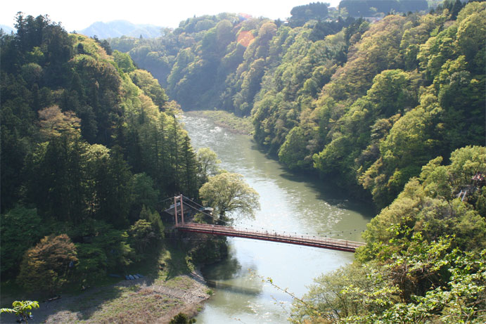 f0209058_152223.jpg