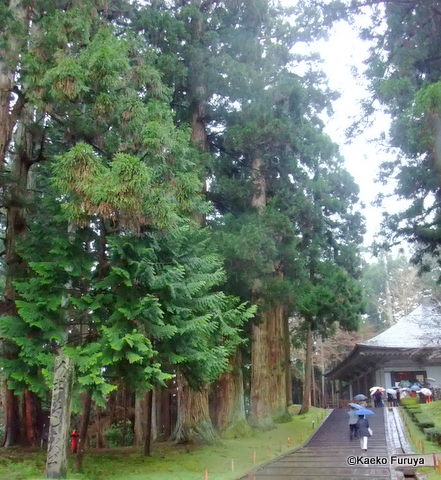 a0092659_13215231.jpg