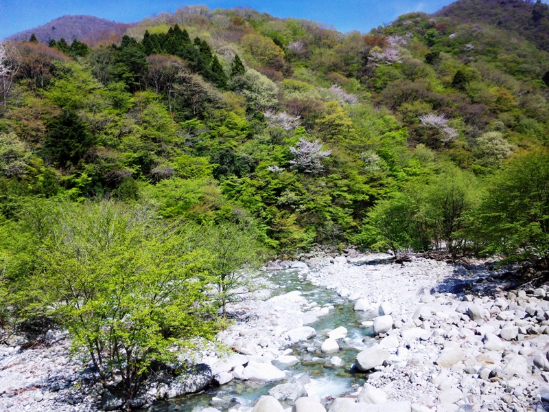 c0214259_226723.jpg