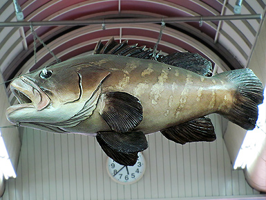 c0167961_18785.jpg