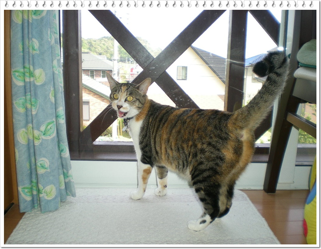 2010年5月5日(水)GWの子供の日!_f0060461_13495282.jpg