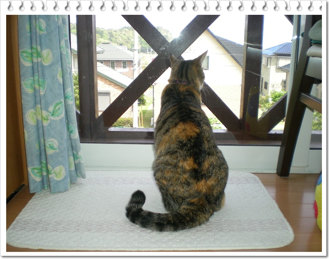 2010年5月5日(水)GWの子供の日!_f0060461_13501179.jpg