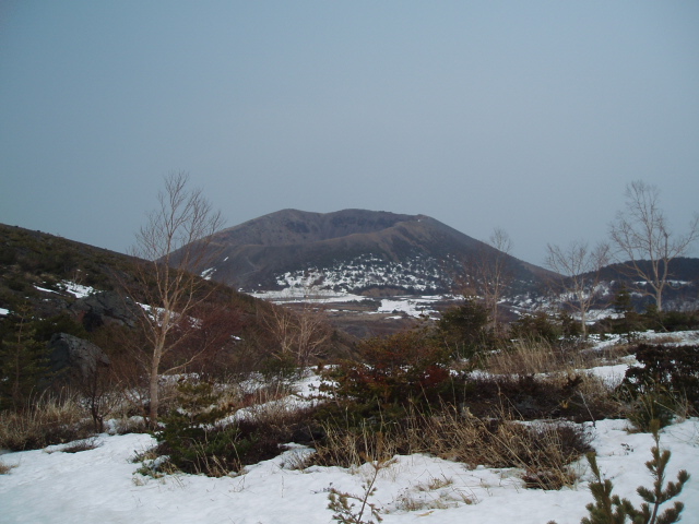 f0145963_2051236.jpg