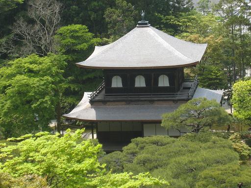 連休の京都・サツキと菖蒲のはずが、、、_f0205367_011246.jpg