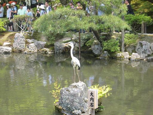 連休の京都・サツキと菖蒲のはずが、、、_f0205367_0114633.jpg