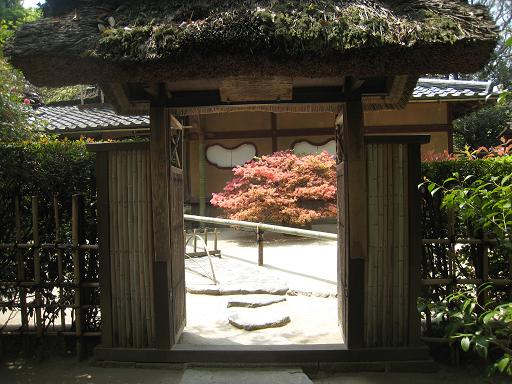 連休の京都・サツキと菖蒲のはずが、、、_f0205367_013673.jpg