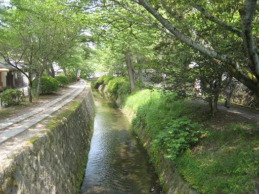 連休の京都・サツキと菖蒲のはずが、、、_f0205367_0162212.jpg