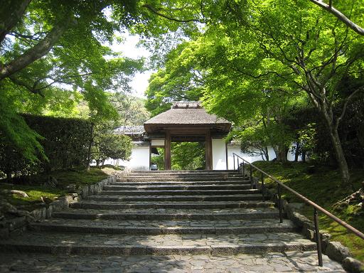 連休の京都・サツキと菖蒲のはずが、、、_f0205367_0232252.jpg