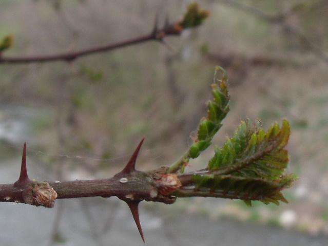 b0067569_1918965.jpg