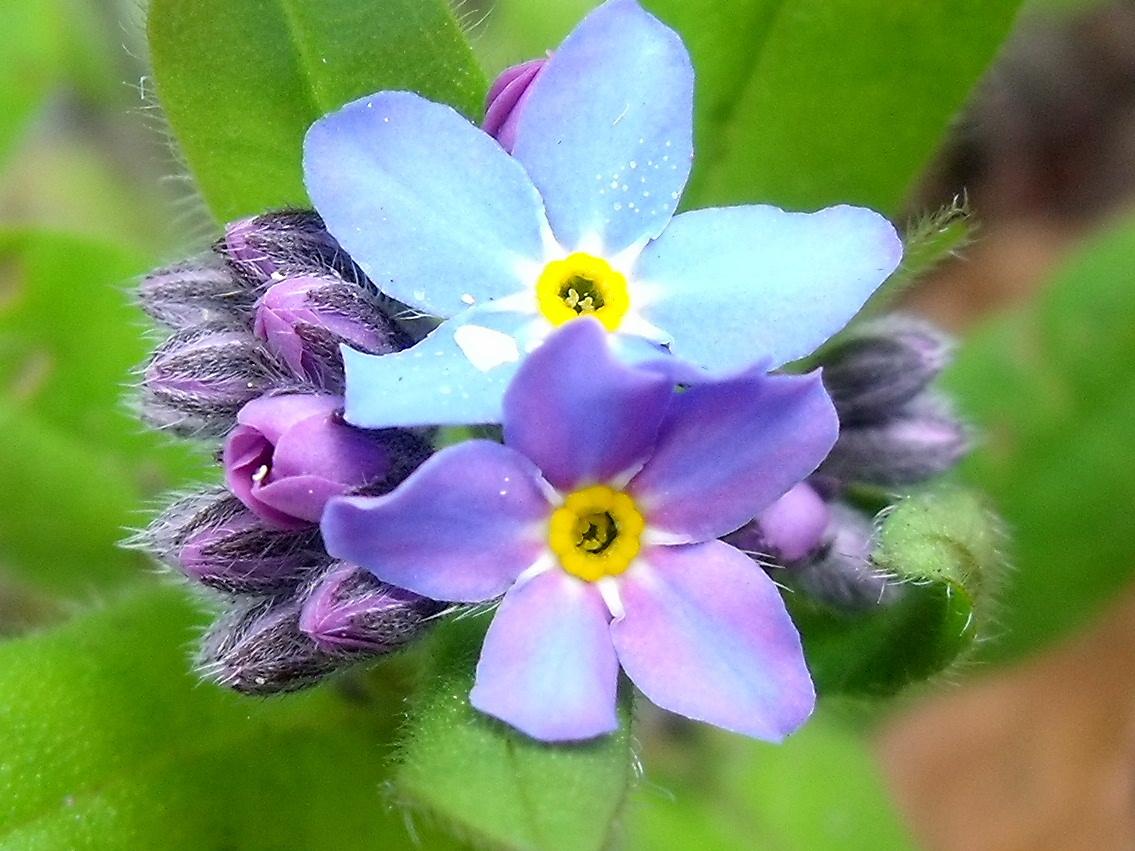 b0067569_1931899.jpg
