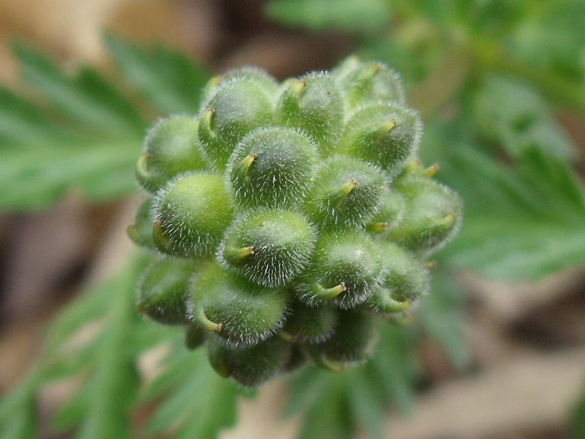 b0067569_196672.jpg