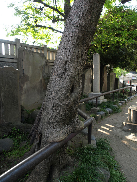 b0006870_2022652.jpg
