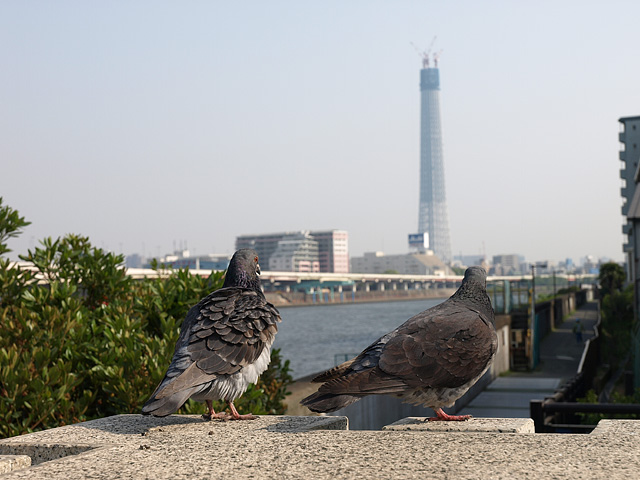 b0006870_202310.jpg