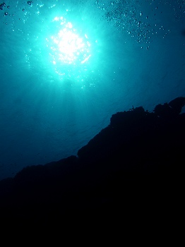 e0096370_19262049.jpg