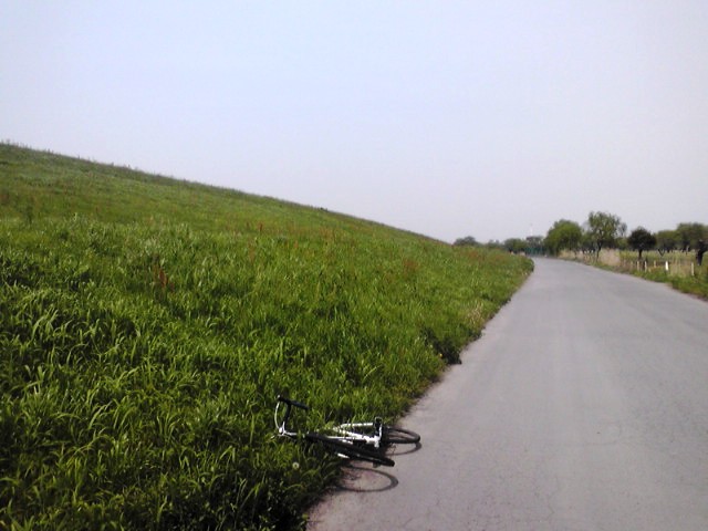 f0036670_6445337.jpg