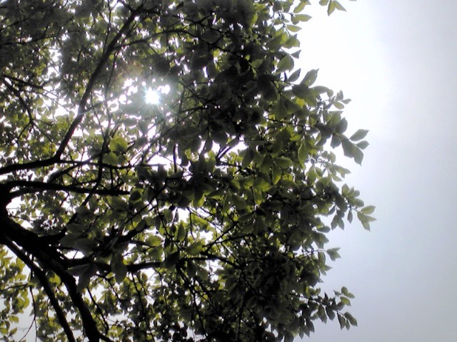 f0036670_918071.jpg
