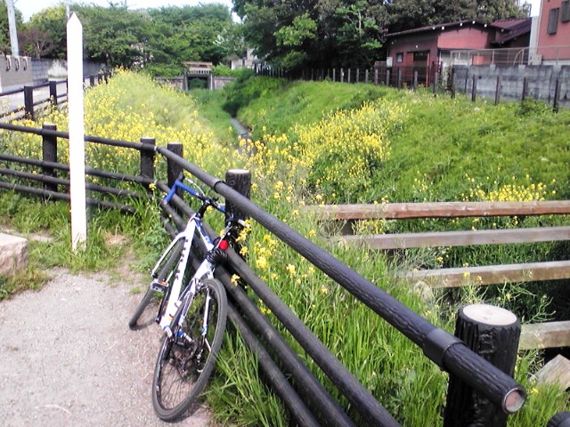 f0036670_9404074.jpg
