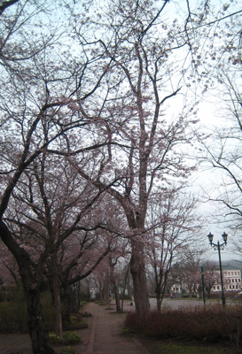f0079071_105891.jpg