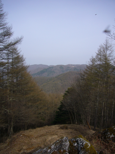 c0040472_10551114.jpg
