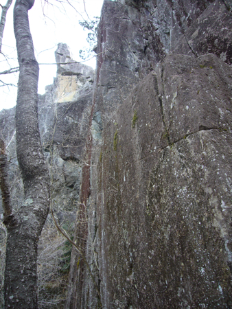 c0040472_1110111.jpg