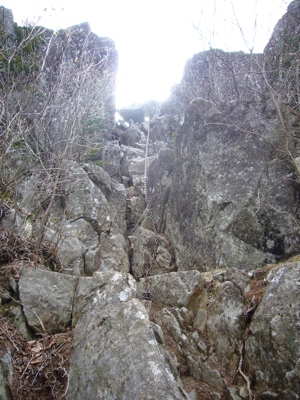 c0040472_11104377.jpg