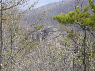 c0040472_11244499.jpg