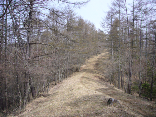 c0040472_1174339.jpg