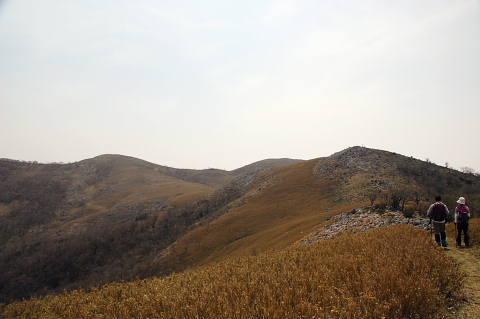 c0022275_13372025.jpg