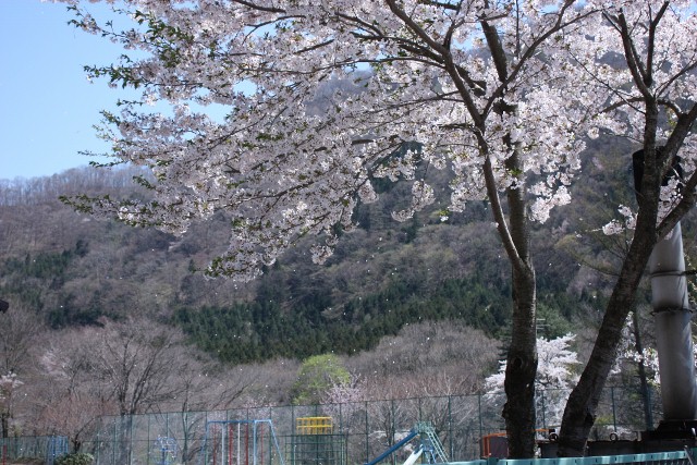 2010年5月3日　赤城山（駒ケ岳～黒檜山）　単独日帰り縦走　　その後　　　ＳＬみなかみ号_f0238475_130113.jpg