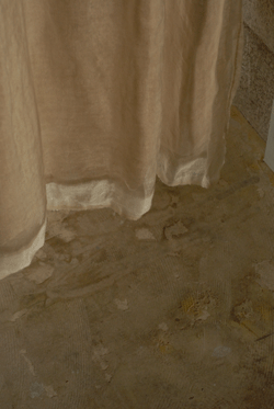 b0173176_11142272.gif