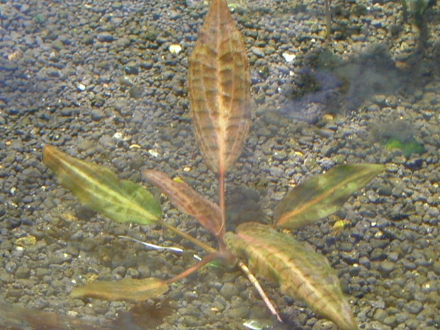 a0067578_1081174.jpg