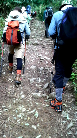 春の伊吹山登山記2010(前編)_a0133078_10303943.jpg