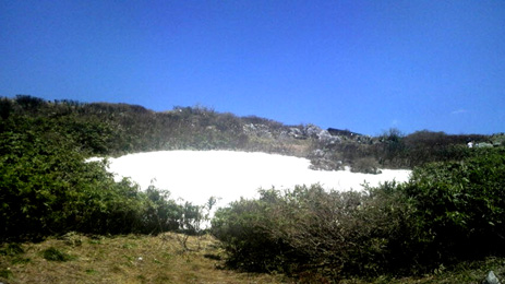 春の伊吹山登山記2010(前編)_a0133078_10464594.jpg