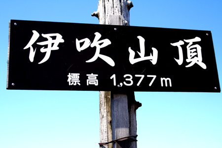 春の伊吹山登山記2010(前編)_a0133078_1048658.jpg