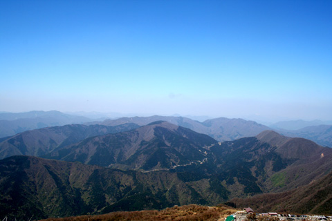 春の伊吹山登山記2010(前編)_a0133078_1049941.jpg